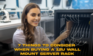 12U Wall Mount
