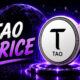 TAO JULY (10)