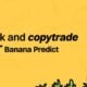 Track Smart Money, Copy Top Traders