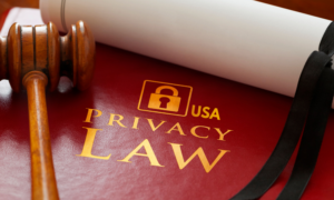 What Should a Business Do Right Now, Before the Law Catches Up?