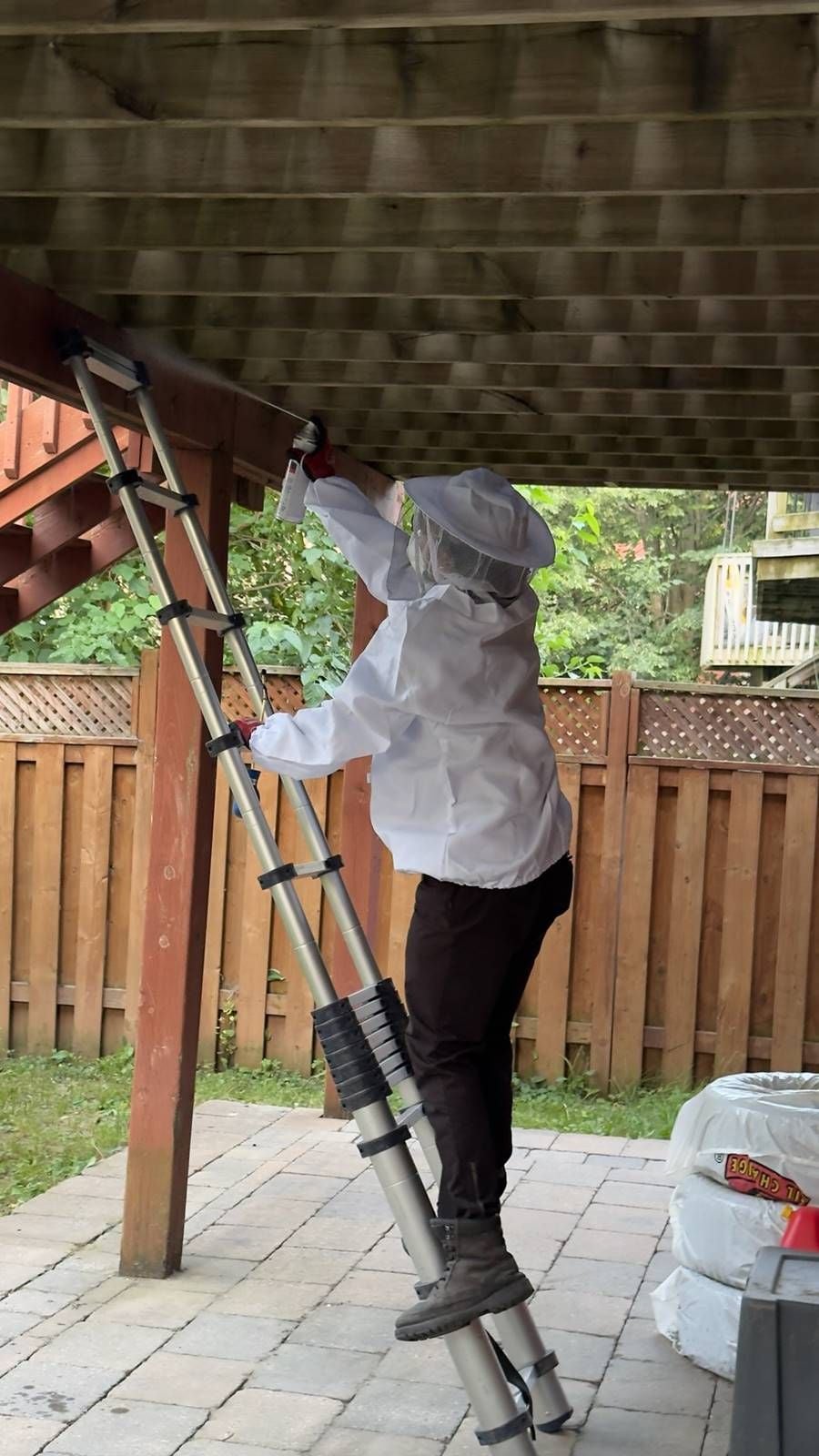 Digital Pest Inspections Are Transforming Pest Control