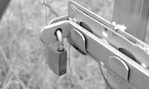 Chains and Hasps