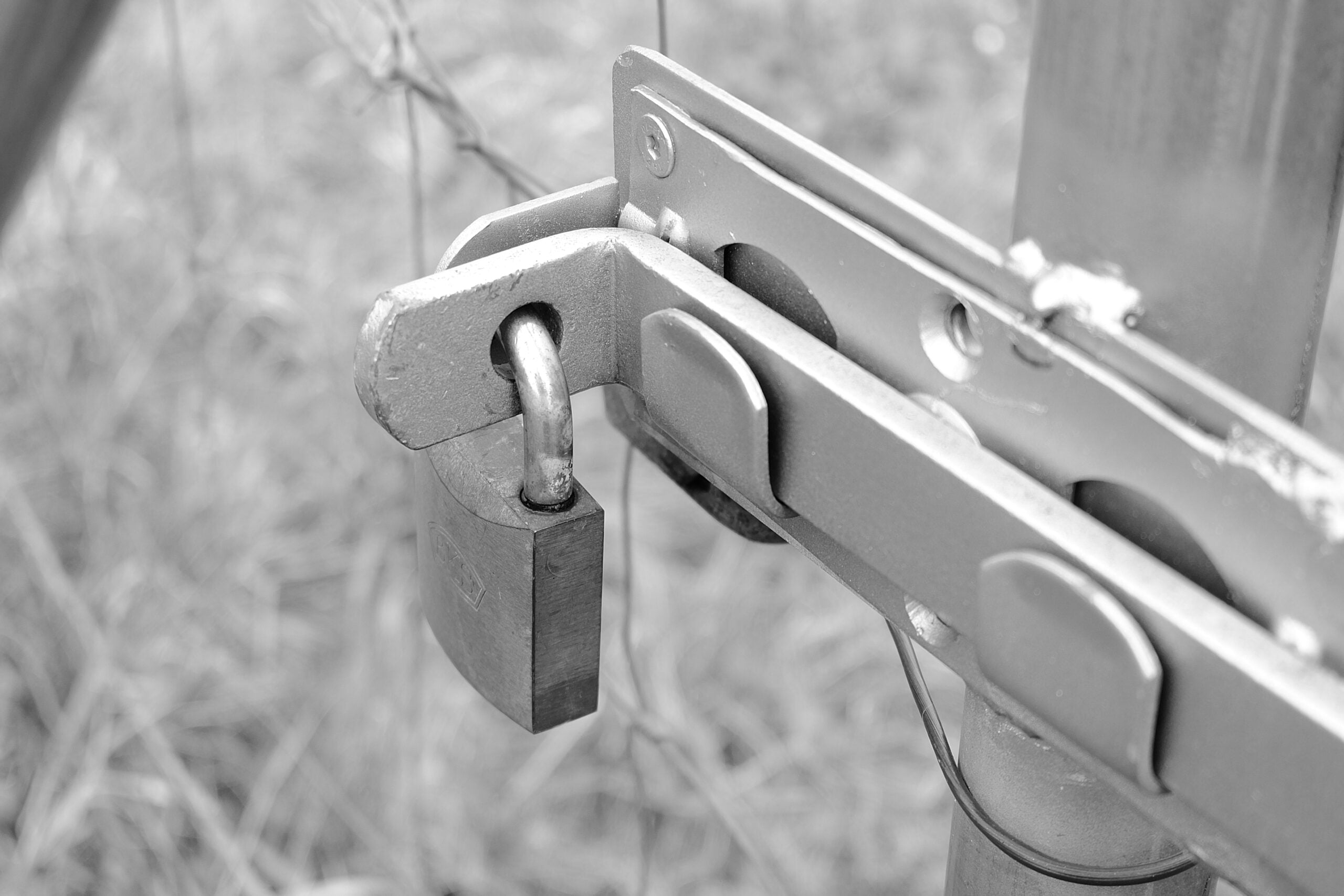 Chains and Hasps