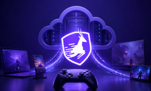 GnuVPN cloud gaming