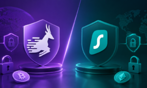 GnuVPN vs Surfshark