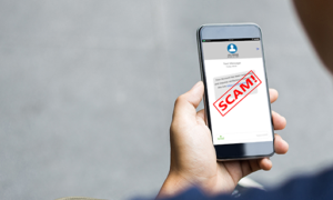 Investment Scam Websites: What Victims 