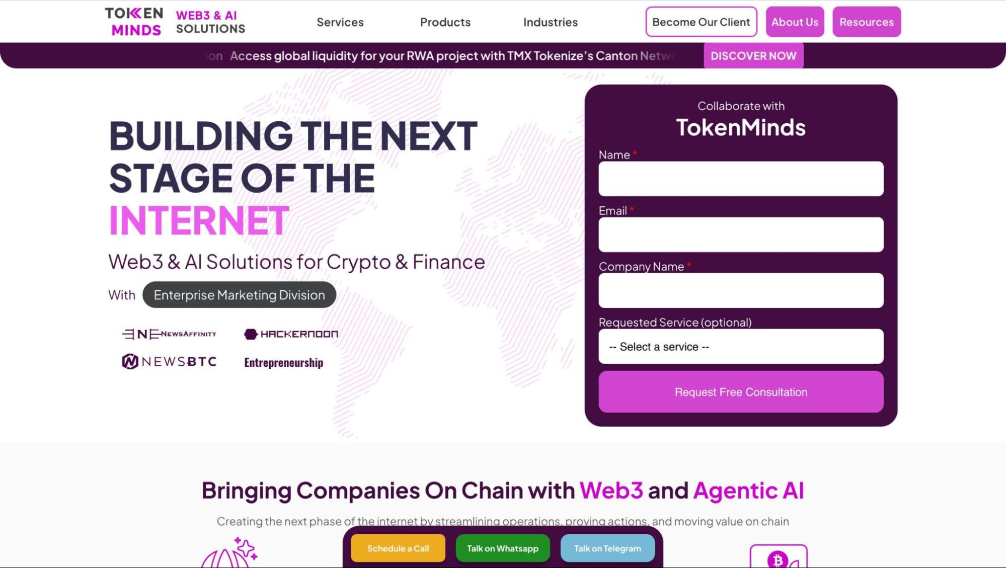 TokenMinds Web3 and AI Solutions homepage offering crypto Reddit marketing, enterprise marketing division, and free consultation for blockchain and finance projects