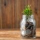 5 Best Ways to Earn Passive Income on XRP
