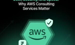 WS Consulting Services: Cut Costs, Ensure Security, and Scale Confidently