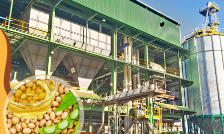 edible oil processing line supplier Compared