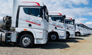 Chinese Supplier for Semi Trailers, Light Trucks