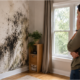 The Risks of Delaying Mold Treatment for Your Home and Health