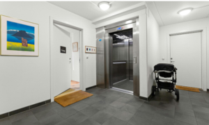 5 Leading Home Elevator Providers for Modern Residential Living