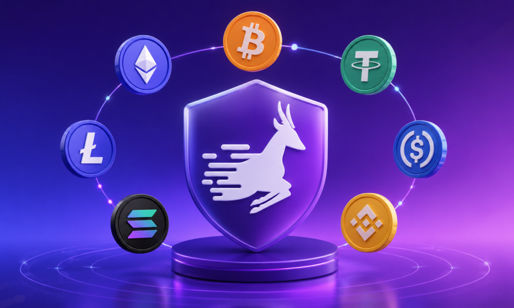 What Cryptocurrencies Does GnuVPN Accept?