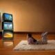 Device Entertainment