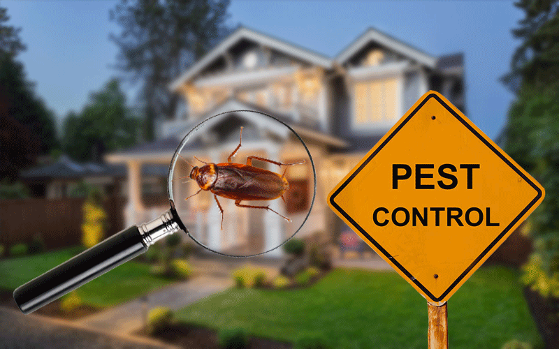Residential Pest Control