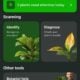 Online Plant Identifier