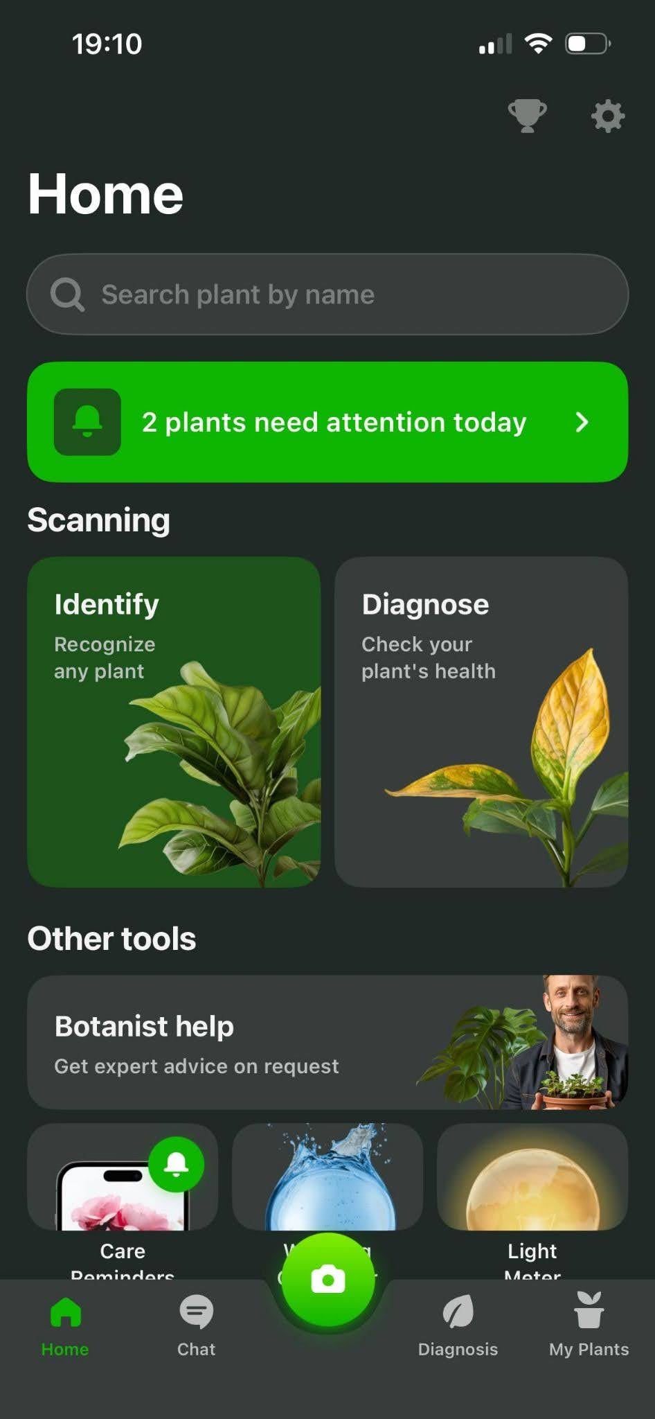 Online Plant Identifier