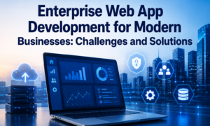 Enterprise Web App Development