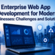 Enterprise Web App Development