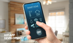 IoT App Development Companies