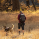 Dog Chased a Deer