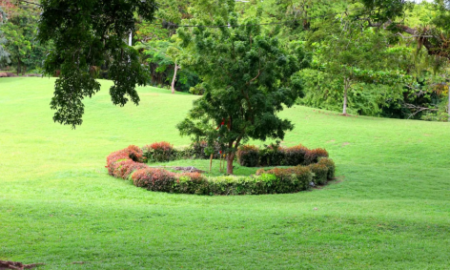 aa