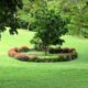 aa