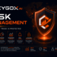 CYGOX AI Risk Management