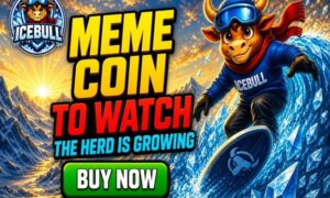 Best meme coin to buy now as IceBull Stage 1 remains live before planned higher-price presale stages