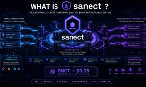 Sanect Network