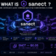 Sanect Network