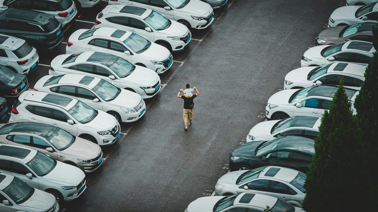 Rent a Car Abroad