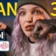 Wan 3.0 Video API on APIXO