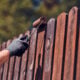 Wood Fence Fading