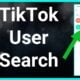Find a TikTok Username by Name