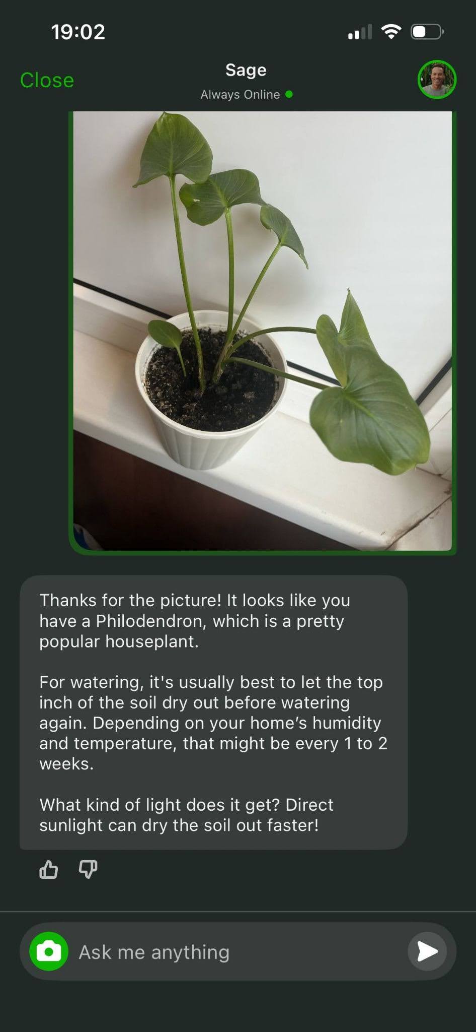 Plant Database