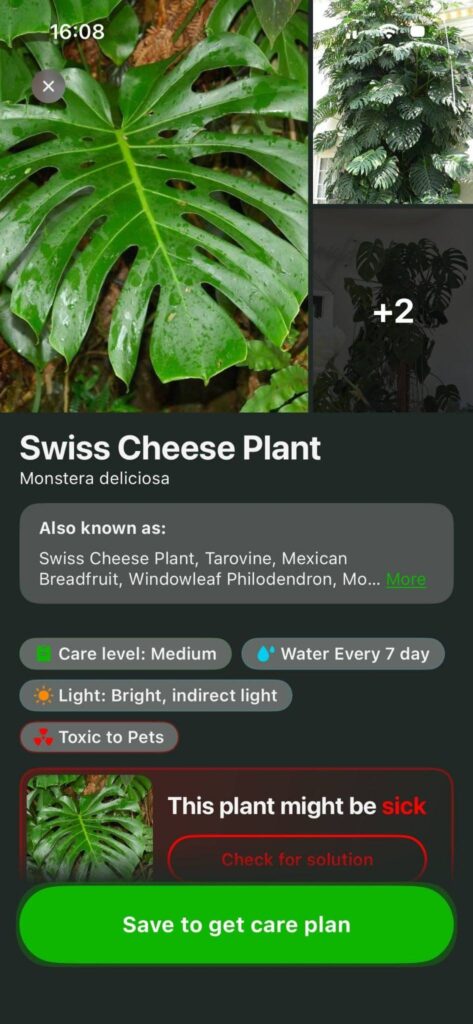 The selection included both low-maintenance houseplants and rarer species, as well as several exotic specimens.