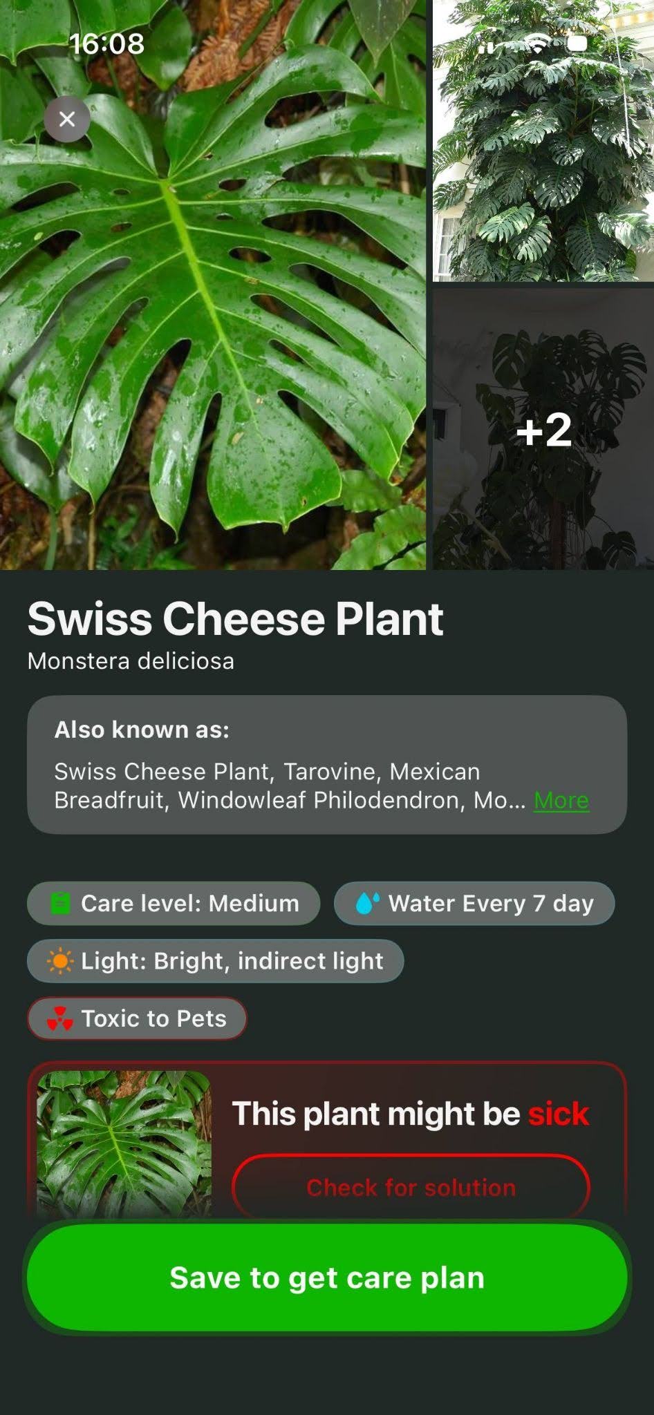 The selection included both low-maintenance houseplants and rarer species, as well as several exotic specimens.