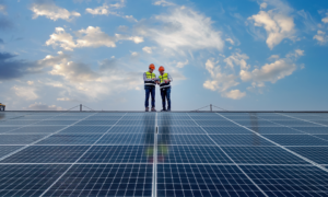 Solar Installers in Energy Transition