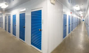 SmartStop Self Storage vs. Apple Self Storage