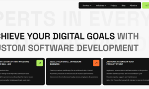 Web  Development  Companies
