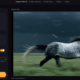 Image to Video AI Credits Need A Demand Forecast