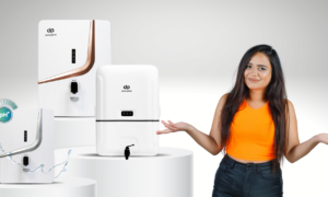 Budget-Friendly Water Purifier