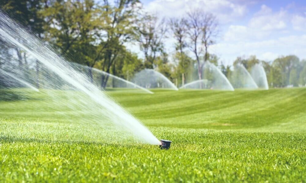 How Measuring Water Flow Can Improve Garden Irrigation and Lawn Care