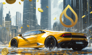 sui