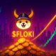 FLOKI, Sei