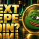PEPE