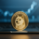 Dogecoin whales