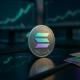 Crypto Bull Run